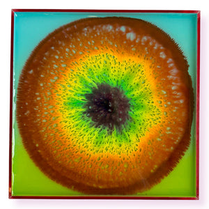 Miniature Agate 28