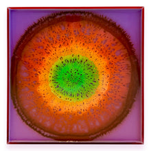 Load image into Gallery viewer, Miniature Agate 2
