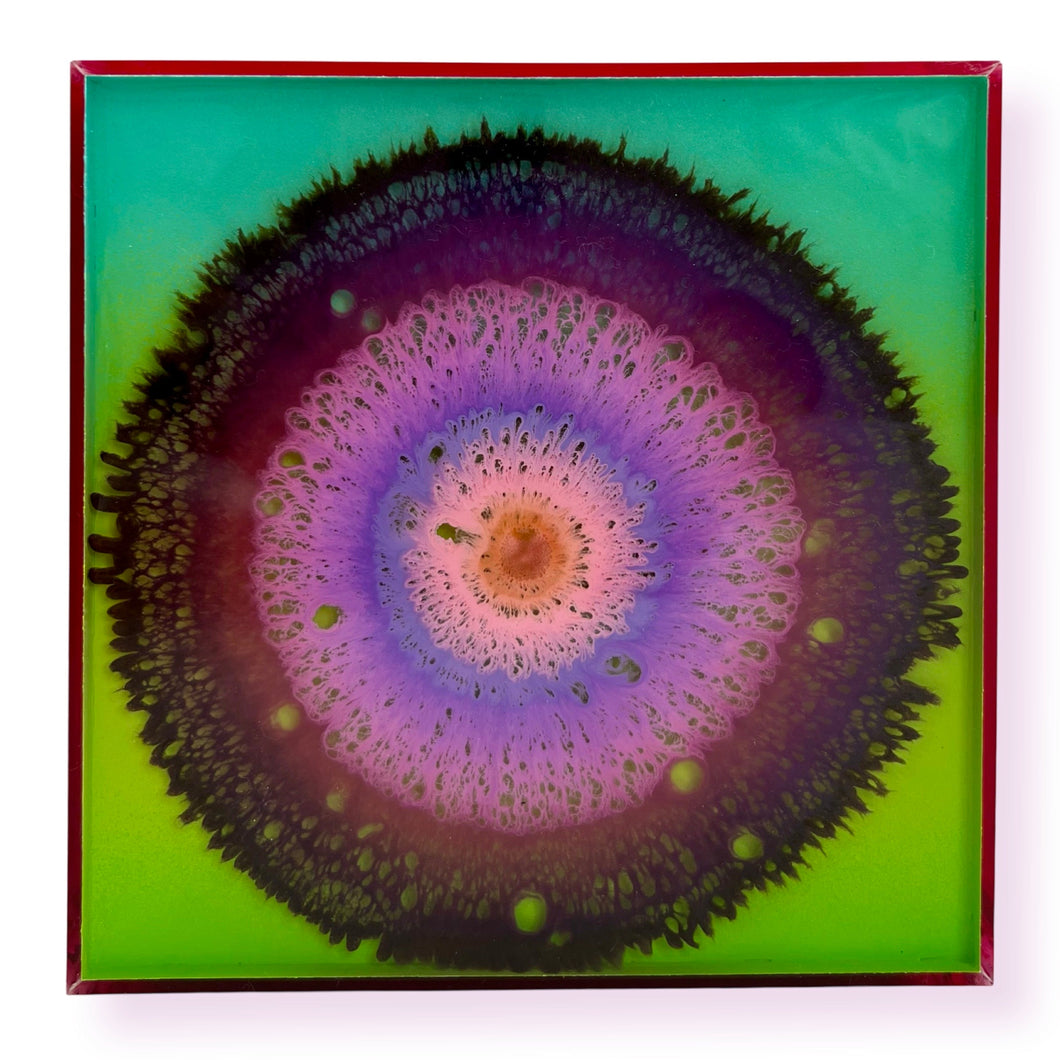 Miniature Agate 11