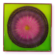 Load image into Gallery viewer, Miniature Agate 23
