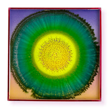 Load image into Gallery viewer, Miniature Agate 27
