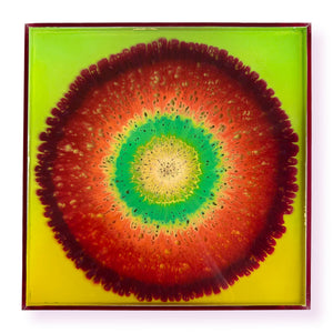 Miniature Agate 21